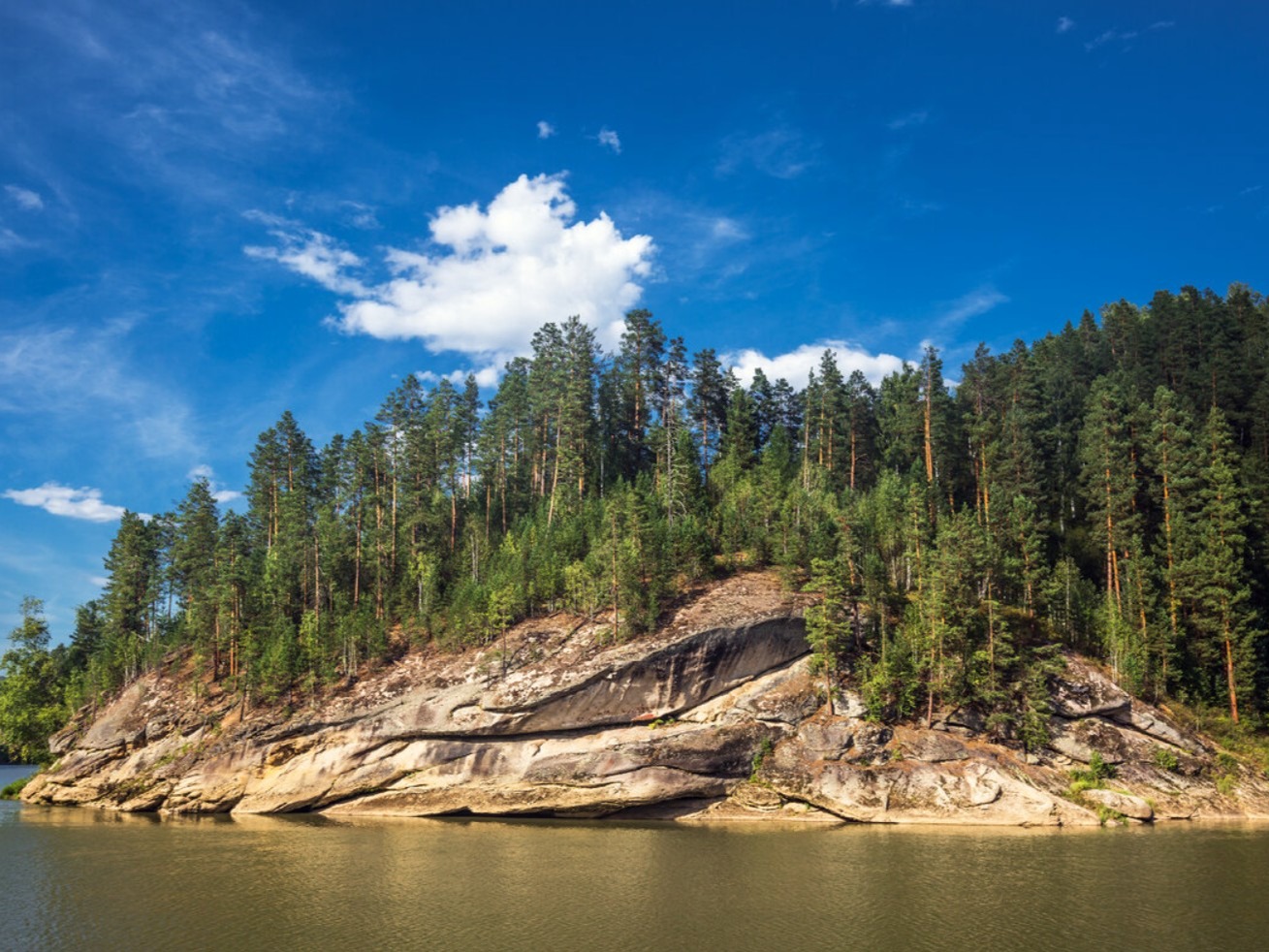 Река Лебедь - фото 6