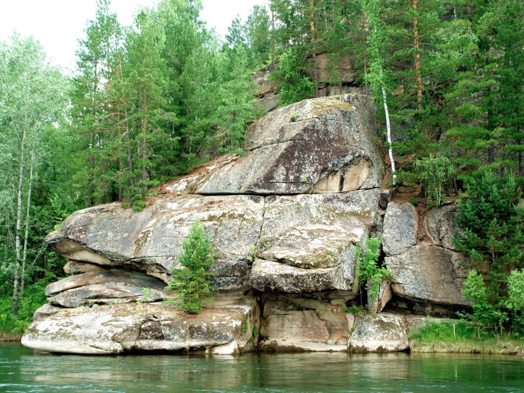 Река Лебедь - фото 7