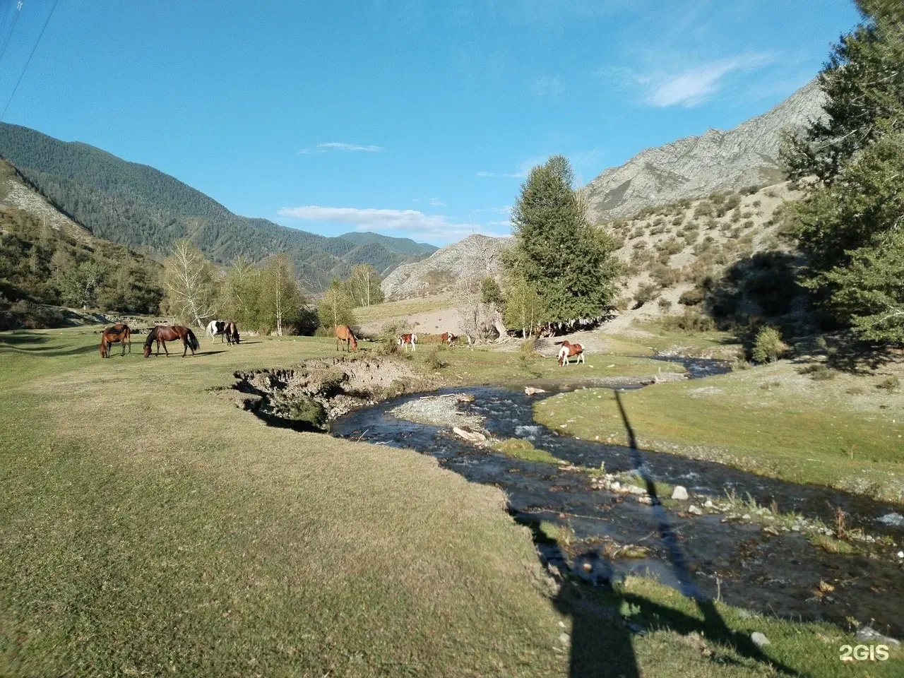 Олимп - фото 11