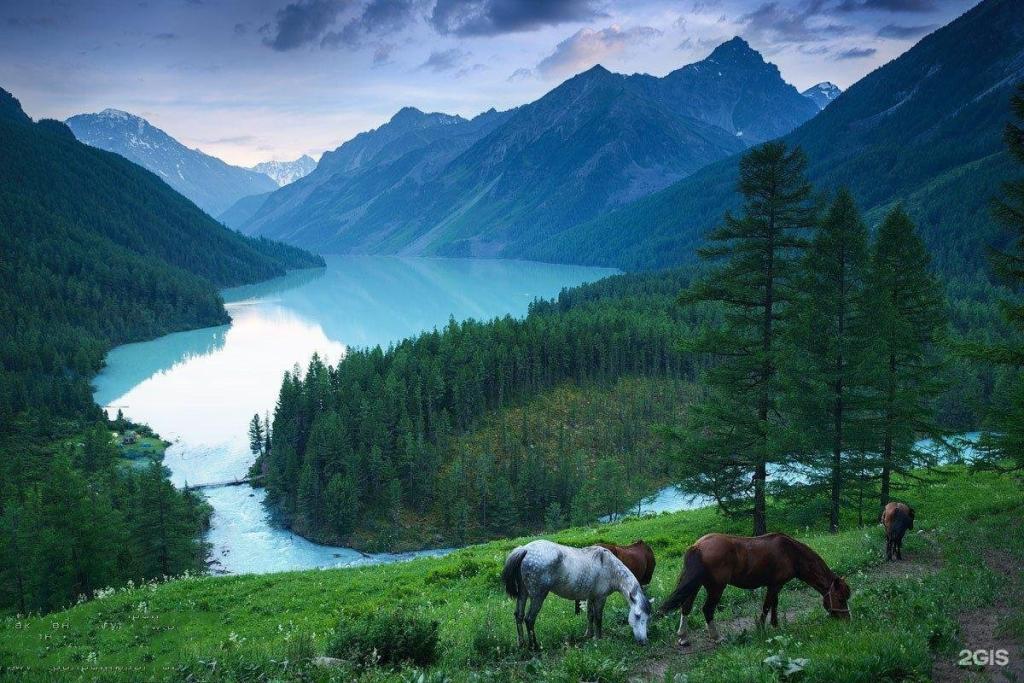 Усадьба Пальцевых - фото 4