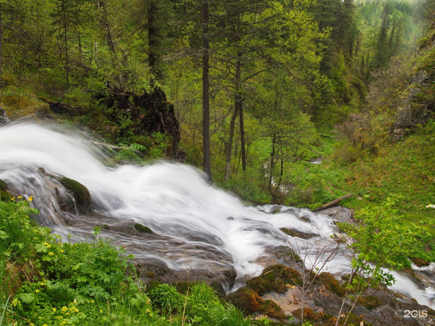 Усадьба Пальцевых - фото 8