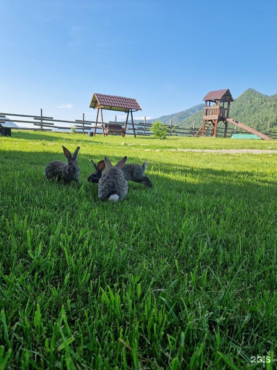 Усадьба Пальцевых - фото 20