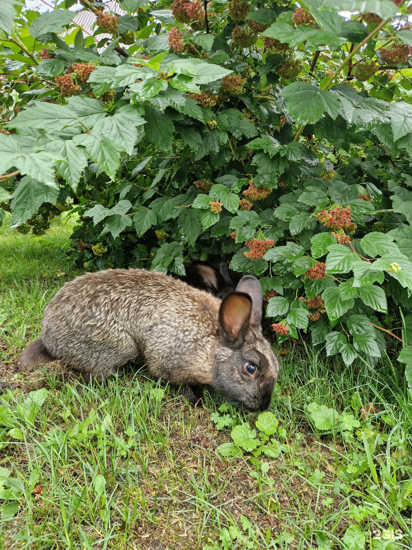 Усадьба Пальцевых - фото 30