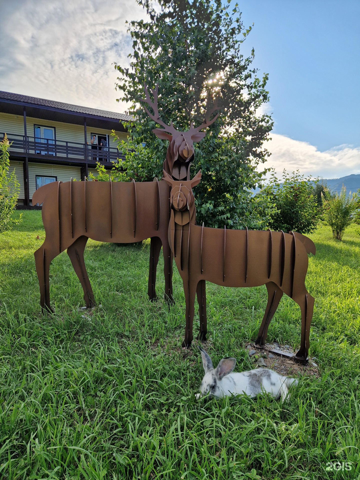 Усадьба Пальцевых - фото 34