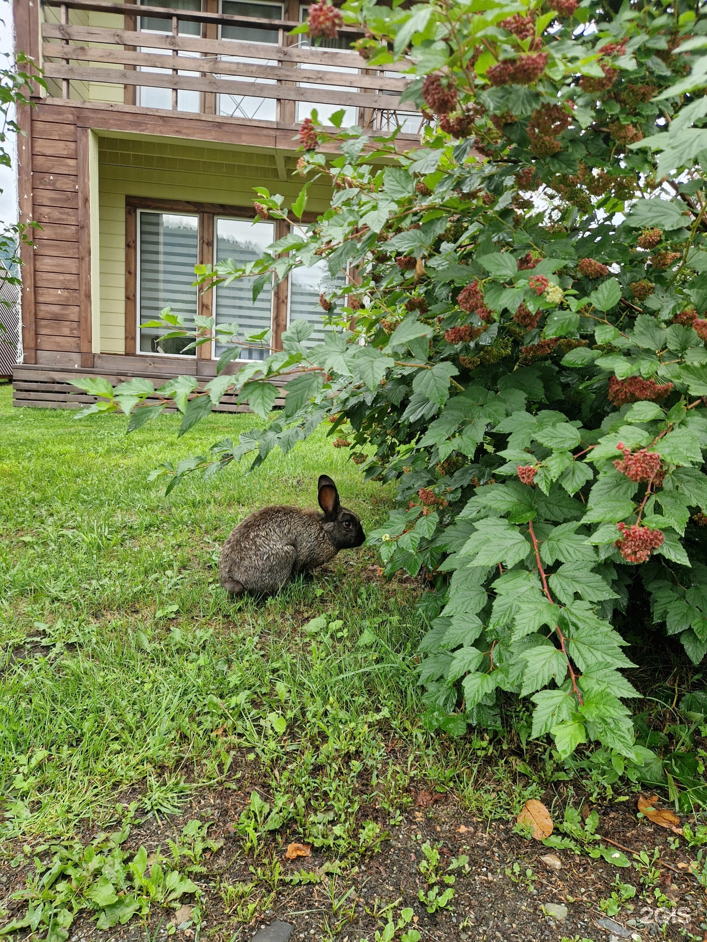 Усадьба Пальцевых - фото 48