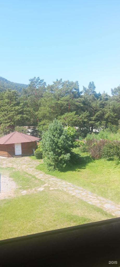 Индиго - фото 2