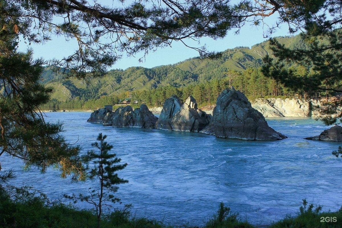 На лесной опушке - фото 11