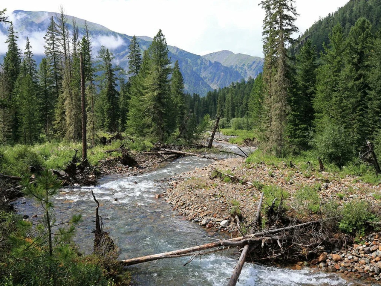 Река Уймень - фото 3