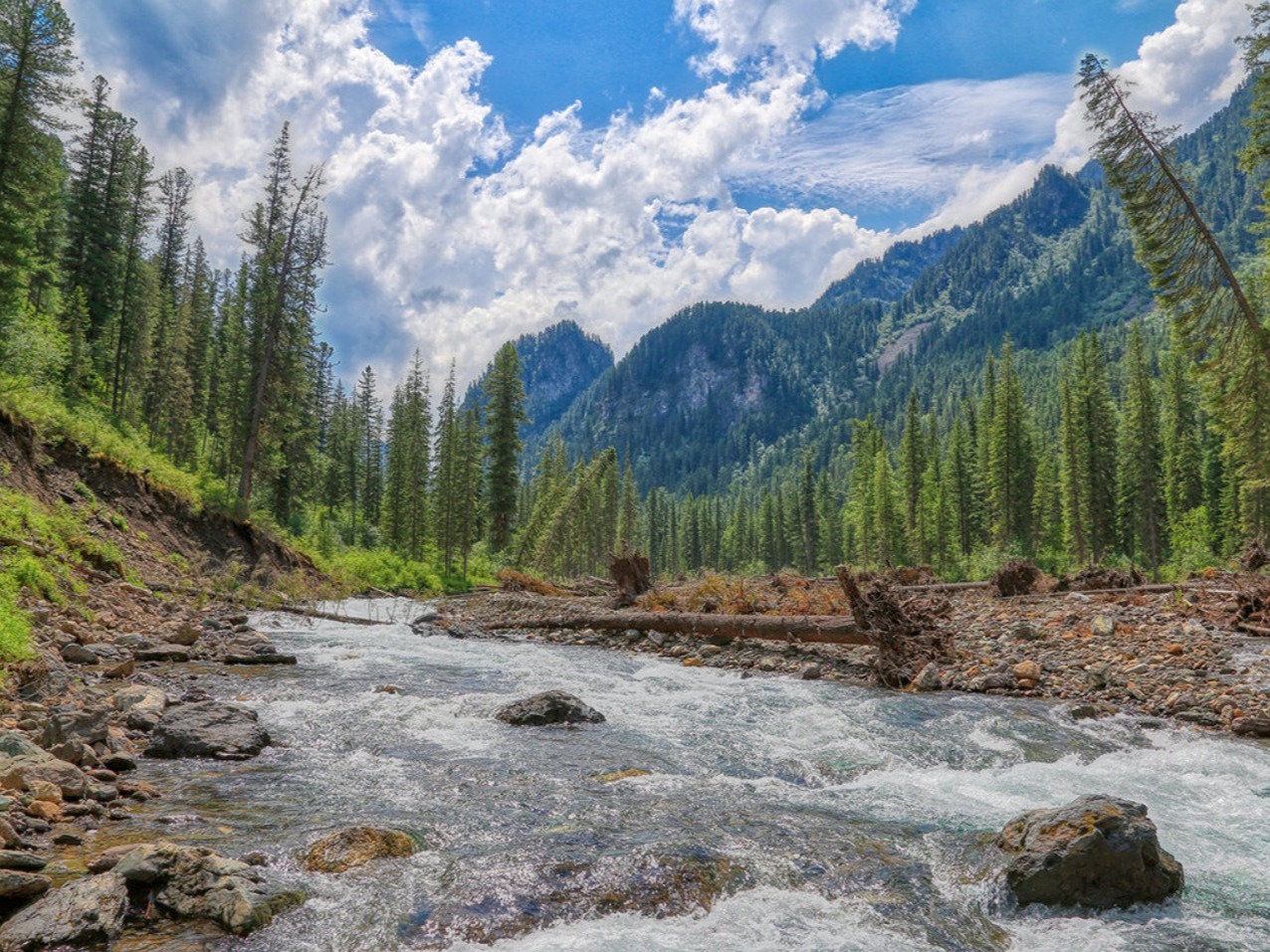 Река Уймень - фото 4