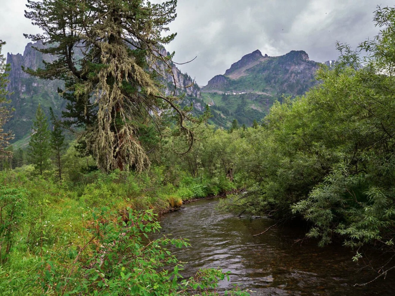 Река Уймень - фото 5