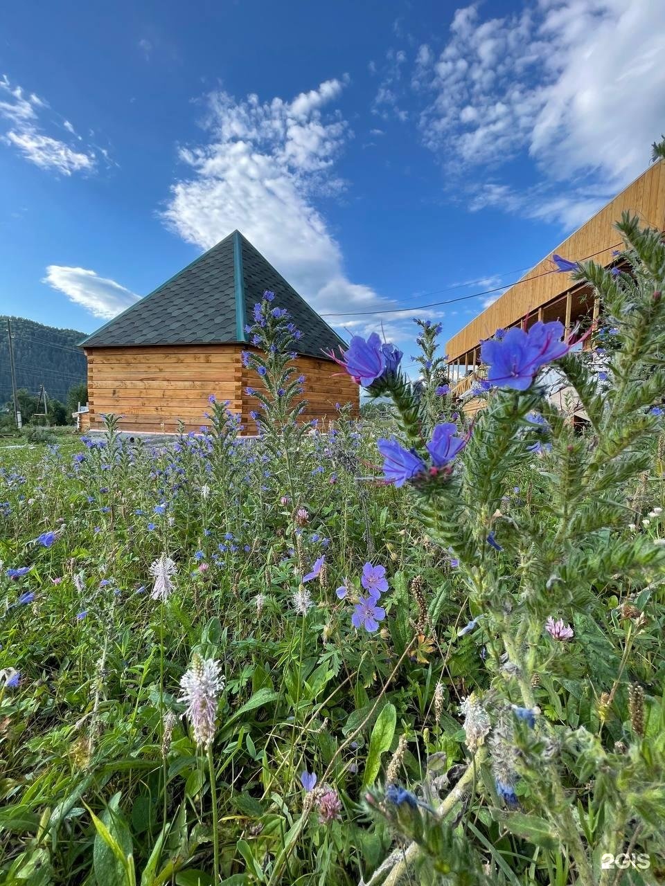 Хан Алтай - фото 1