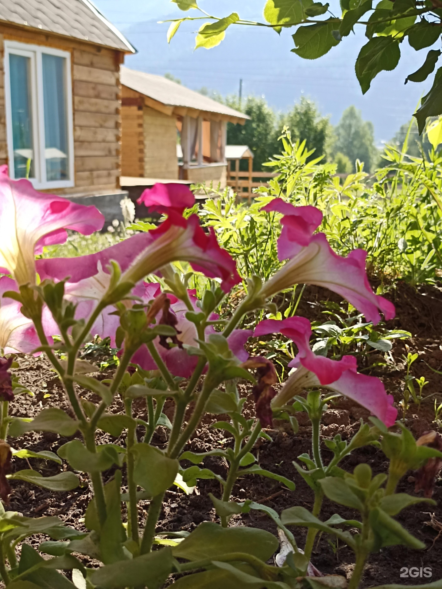 Хан Алтай - фото 15