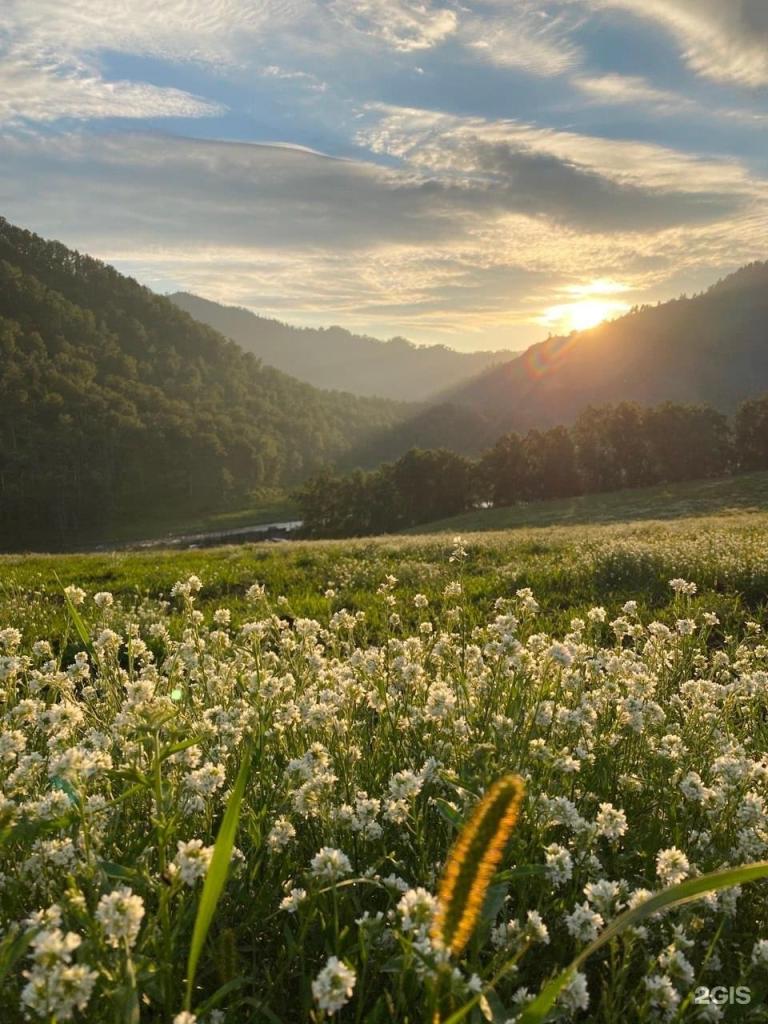 Альпийское эхо - фото 10