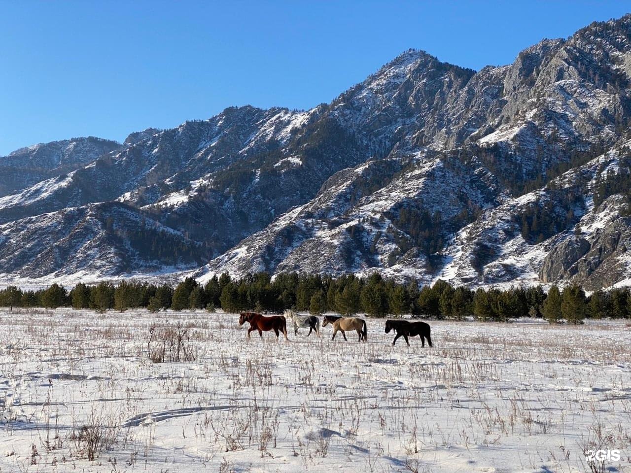 Альпийское эхо - фото 11