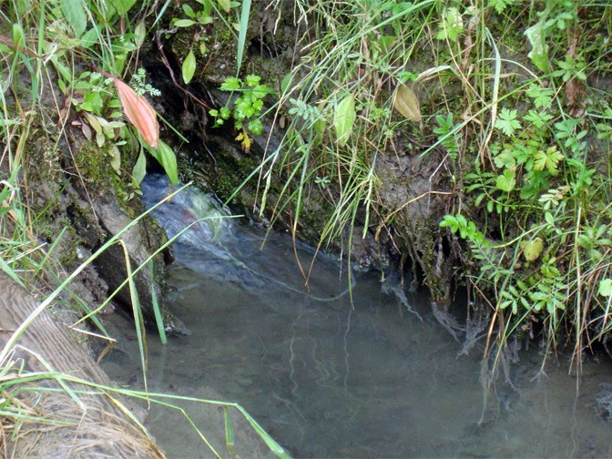 Чулышманский целебный источник (Адышту, Як-Паш) - фото 3