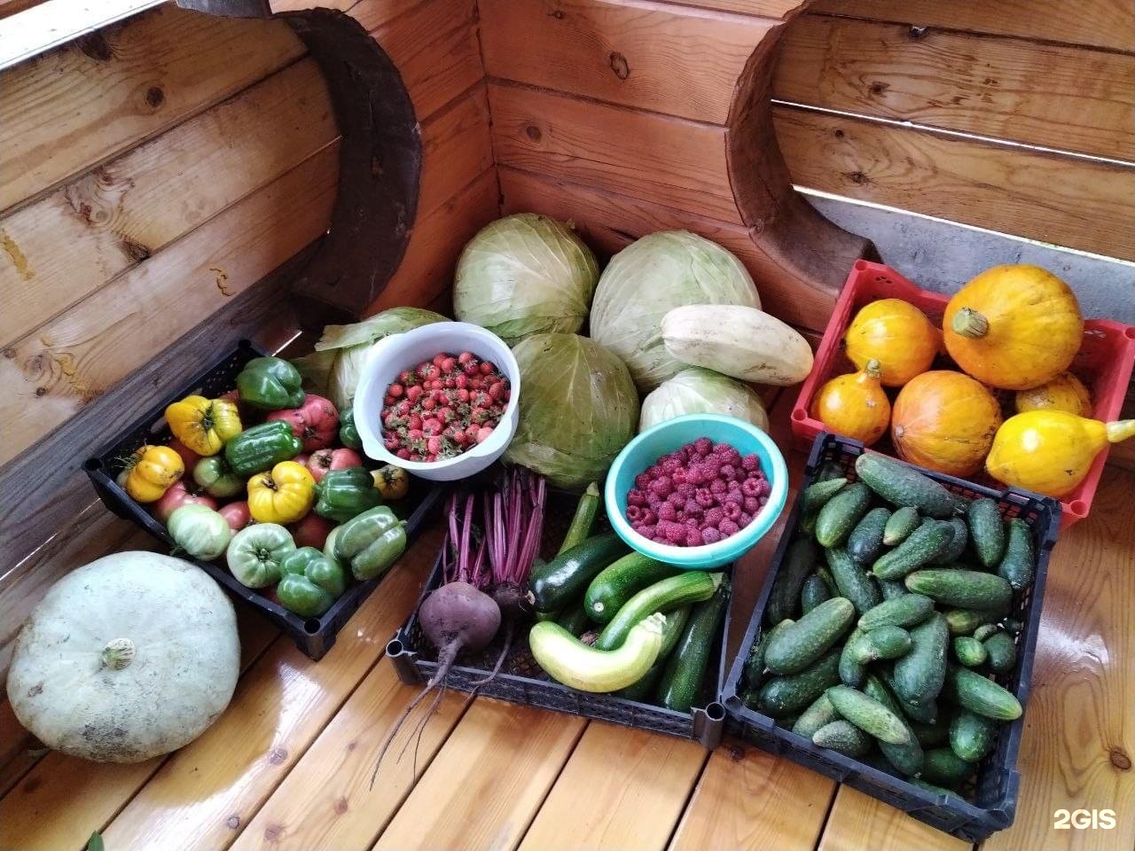 Альпийское эхо - фото 55