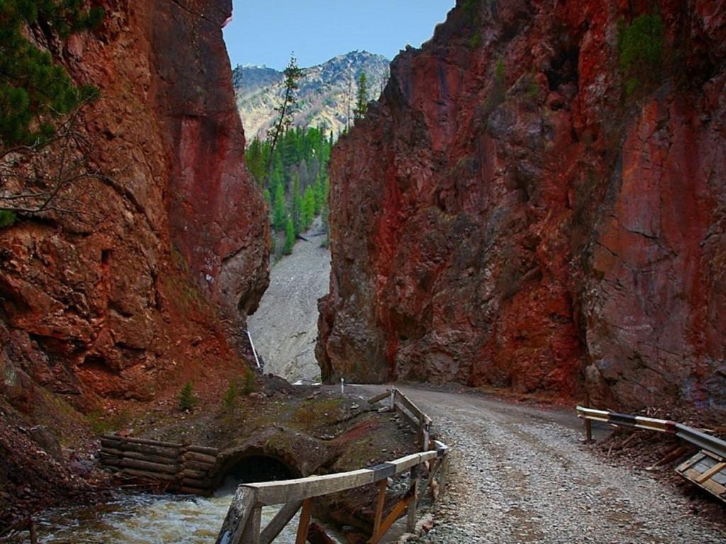 Красные ворота - фото 1