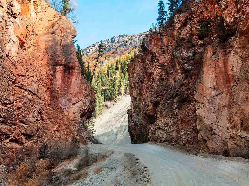 Красные ворота - фото 4