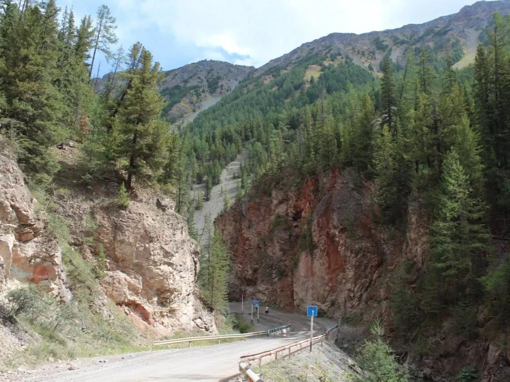 Красные ворота - фото 5