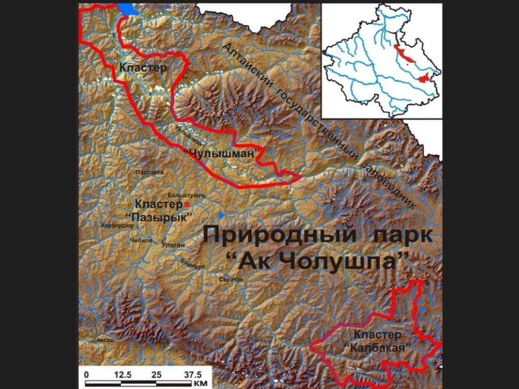 Природный парк Ак Чолушпа - фото 7