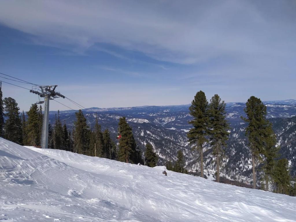 Горнолыжный комплекс «Телецкий» (Артыбаш) - фото 8