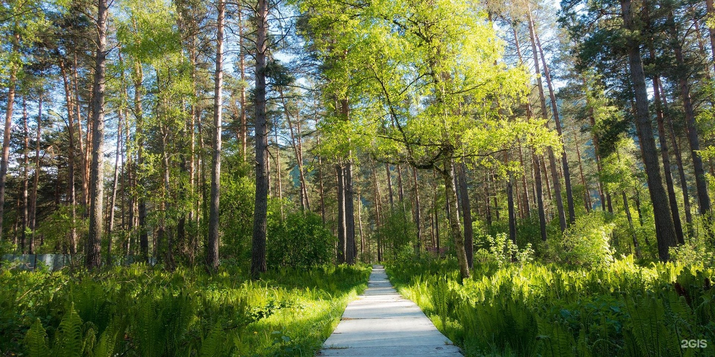 Алтаир - фото 8