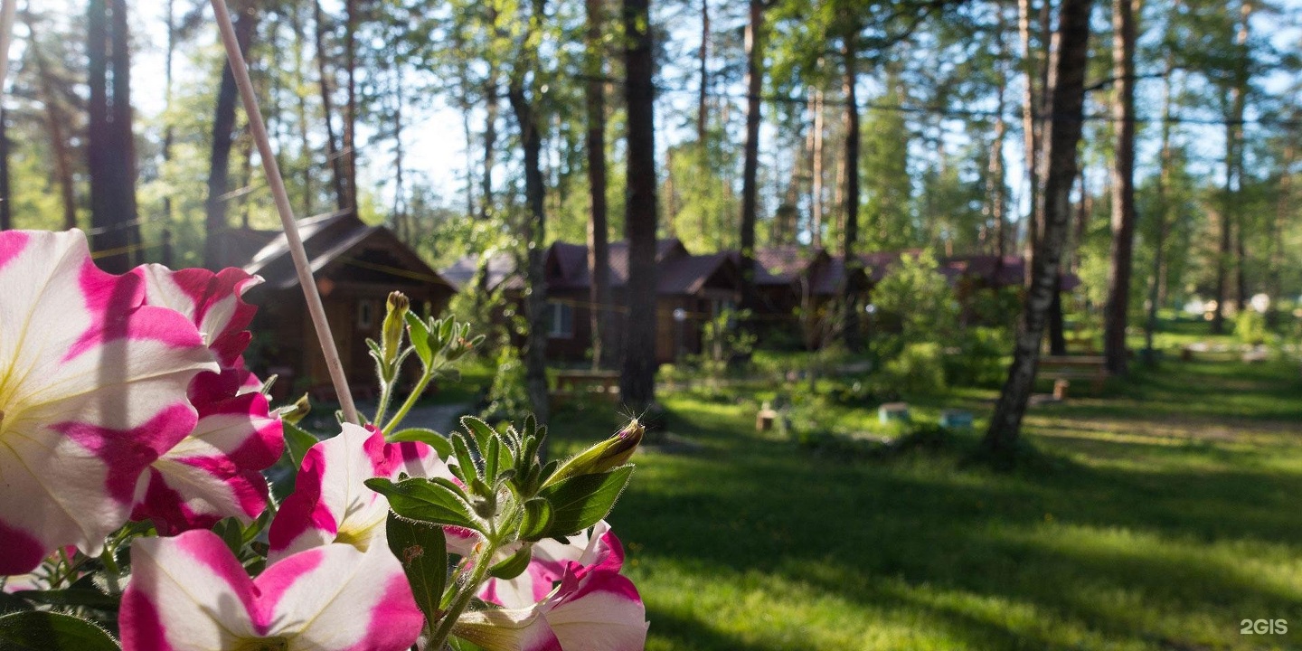 Алтаир - фото 16