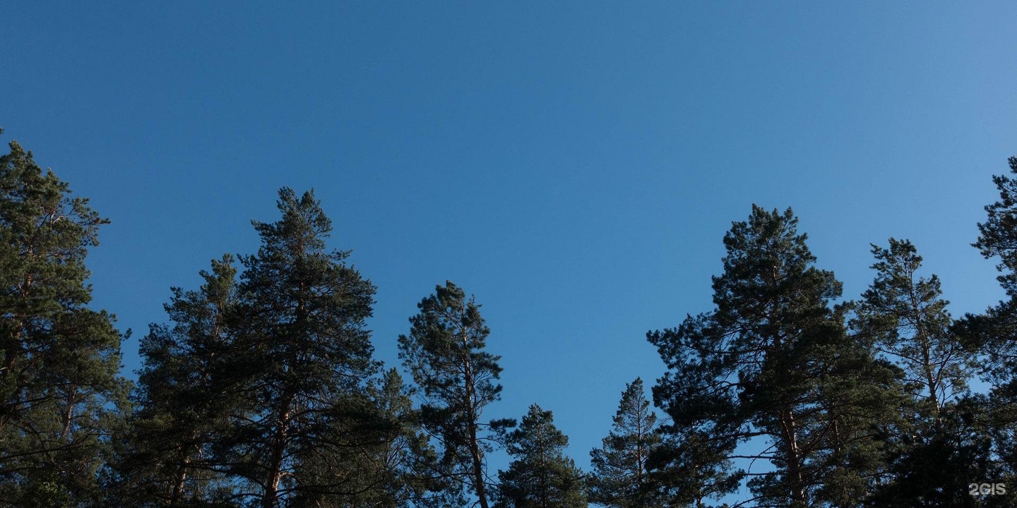 Алтаир - фото 26