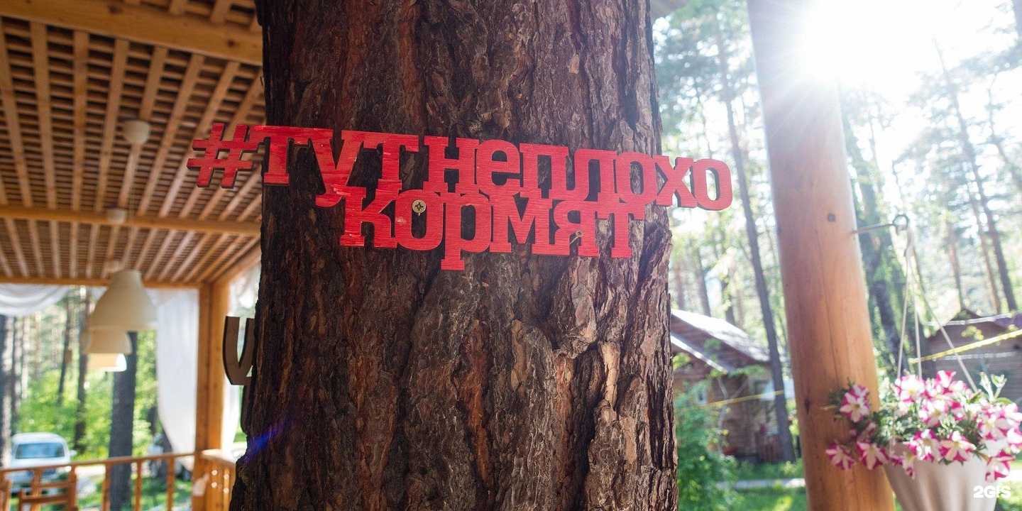 Алтаир - фото 41