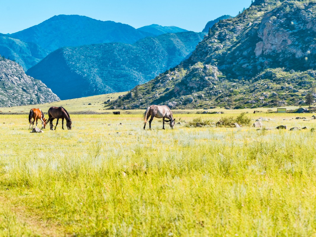 Археологический комплекс Кур-Кечу - фото 5