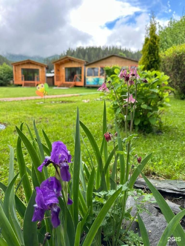 Susha Travel - фото 1