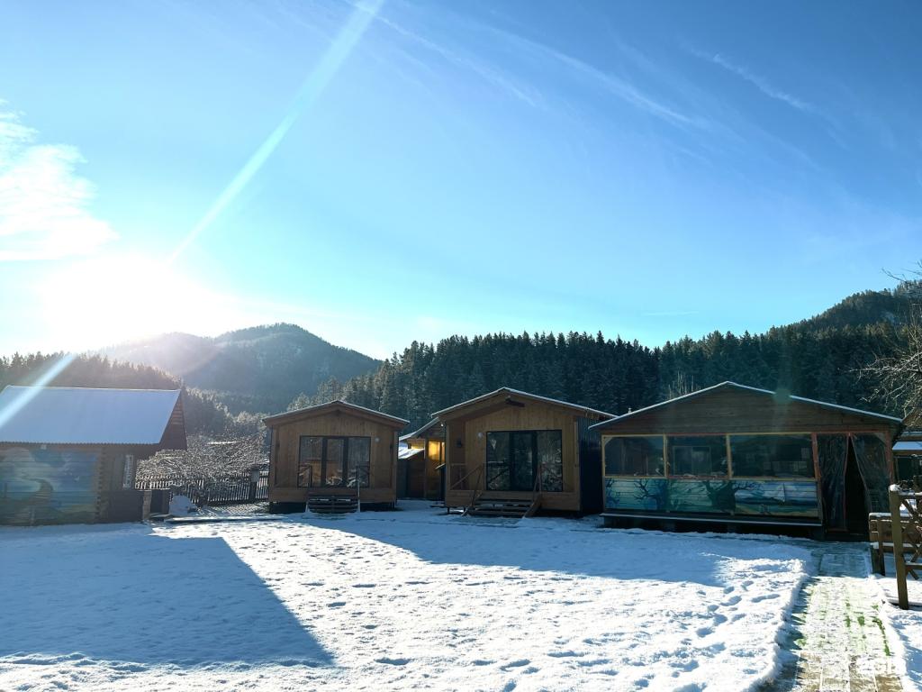 Susha Travel - фото 7