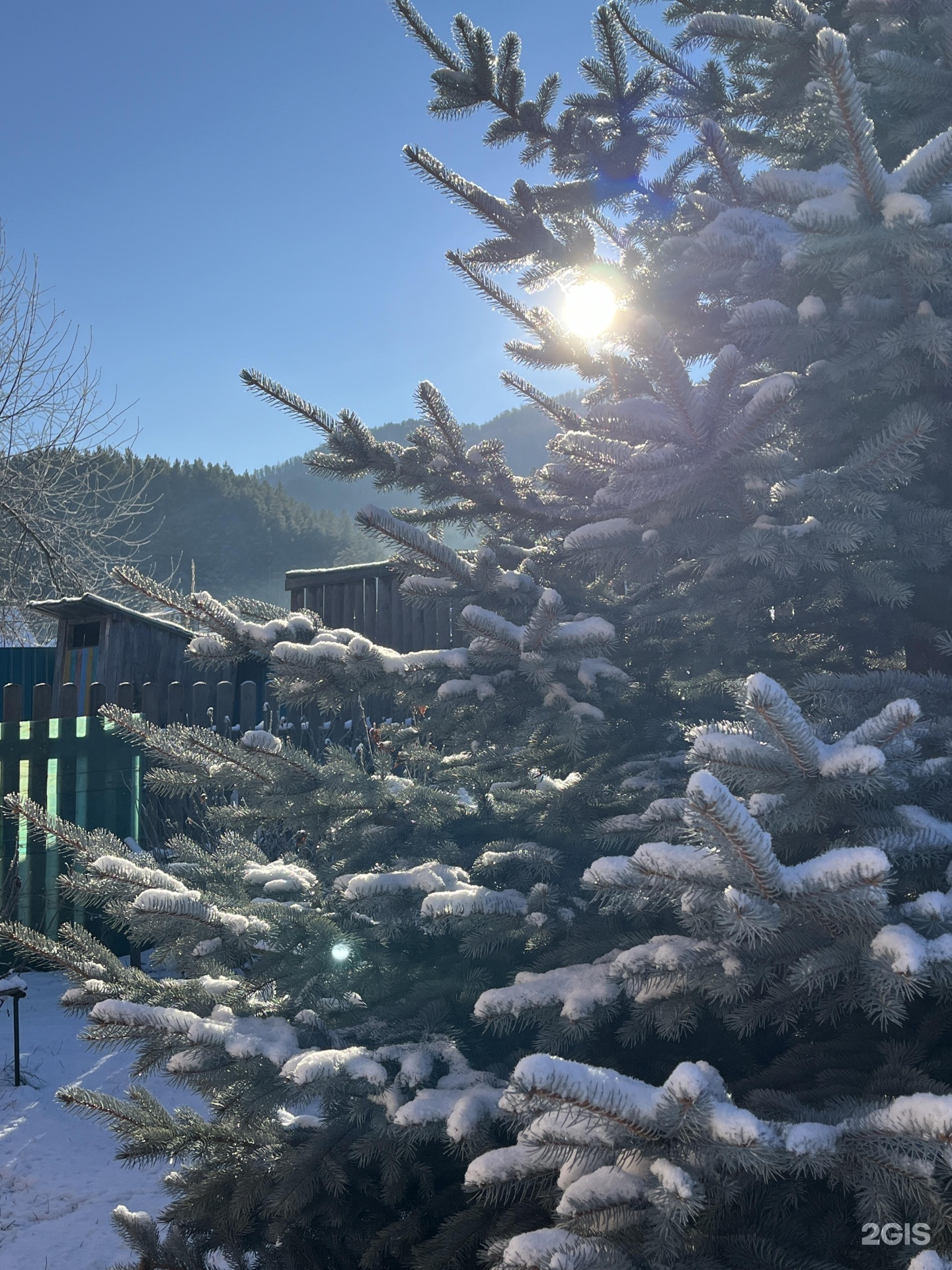 Susha Travel - фото 12