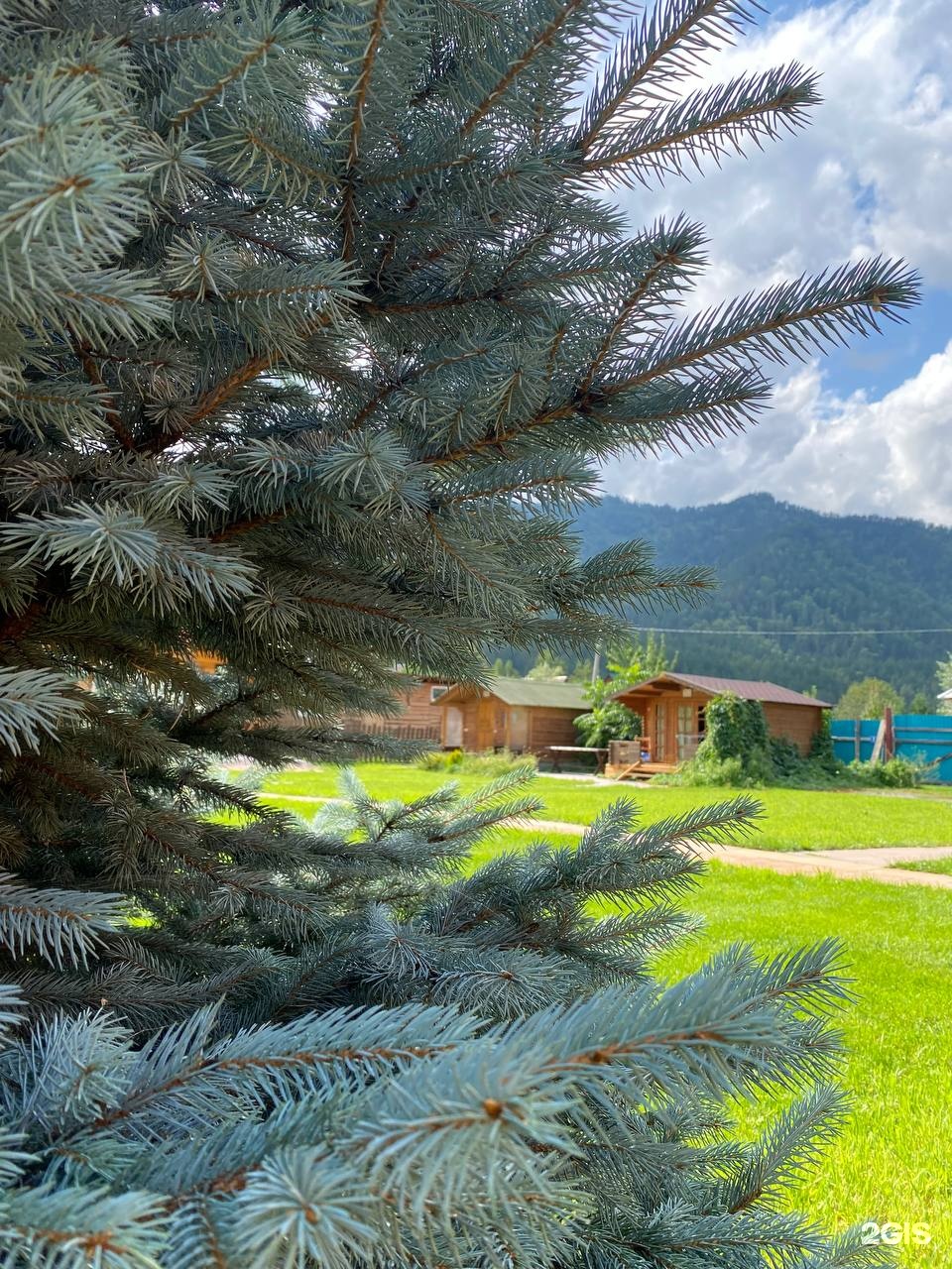 Susha Travel - фото 15