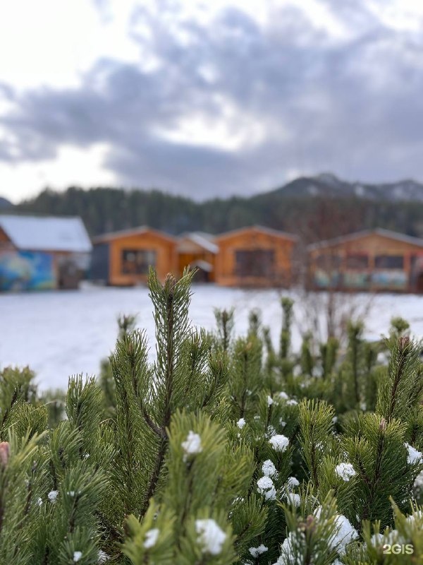 Susha Travel - фото 23