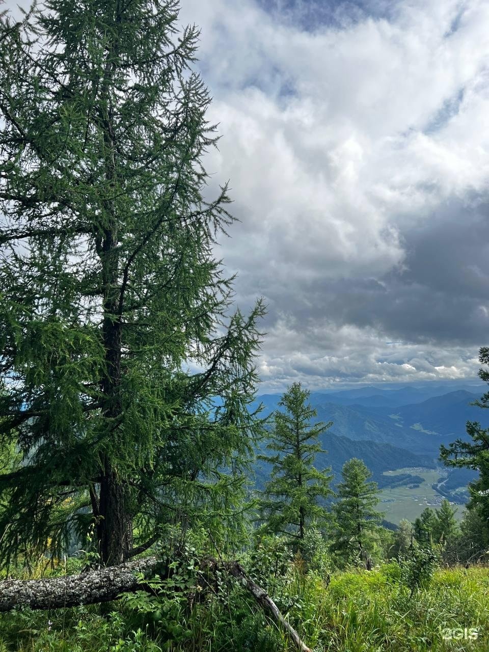 Susha Travel - фото 35