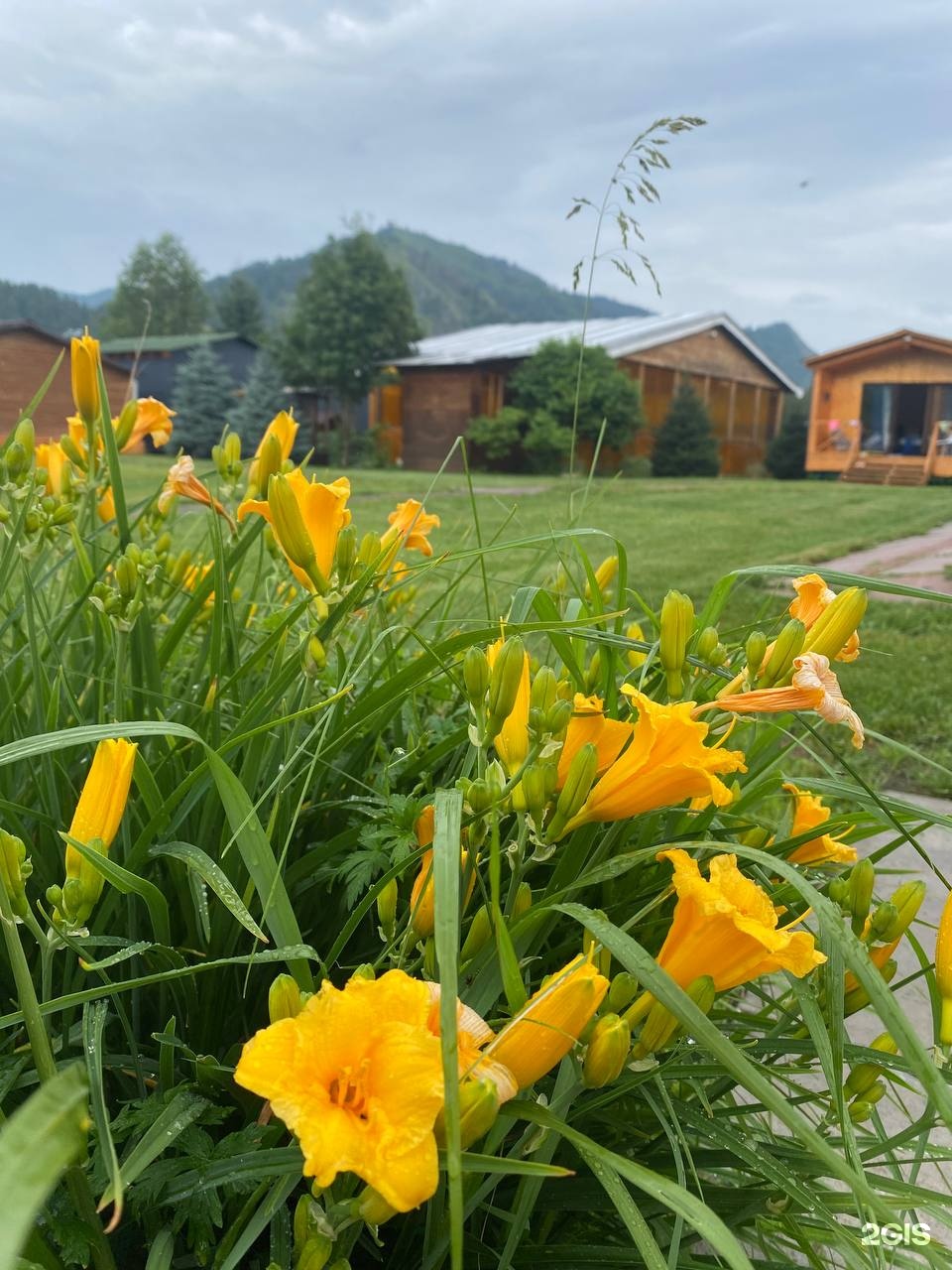 Susha Travel - фото 55