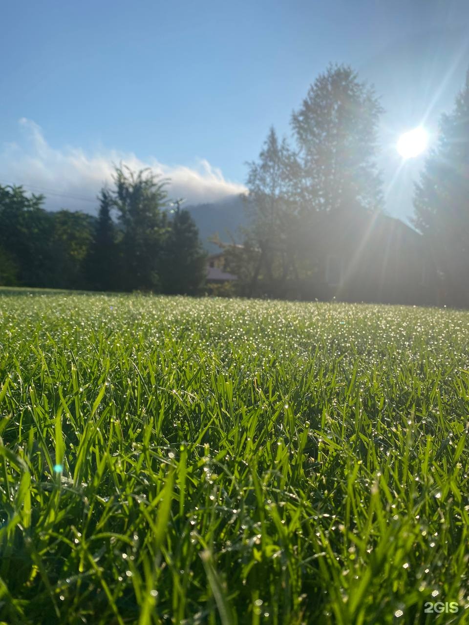 Susha Travel - фото 58