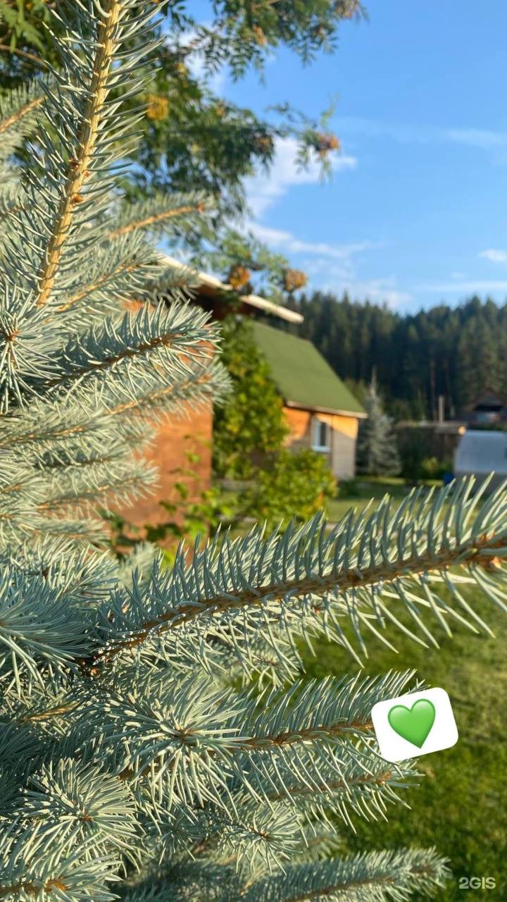 Susha Travel - фото 78