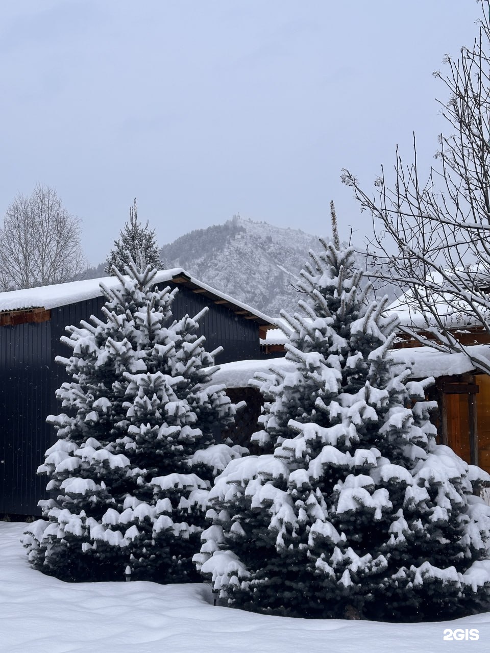 Susha Travel - фото 79