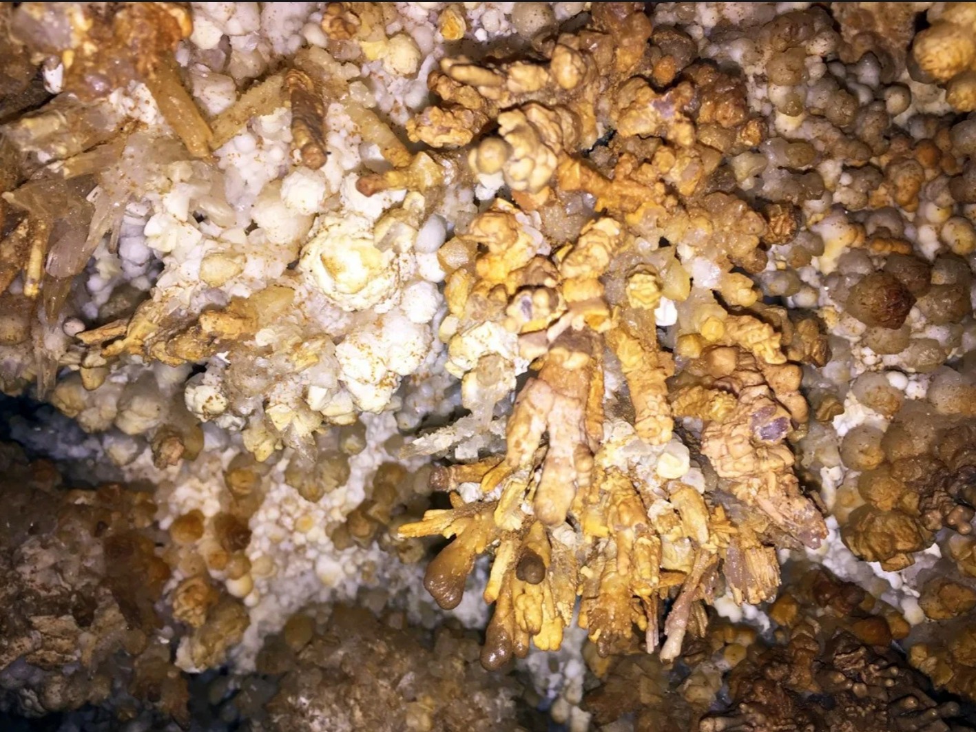 Музейная пещера (Новокаракольская) - фото 4