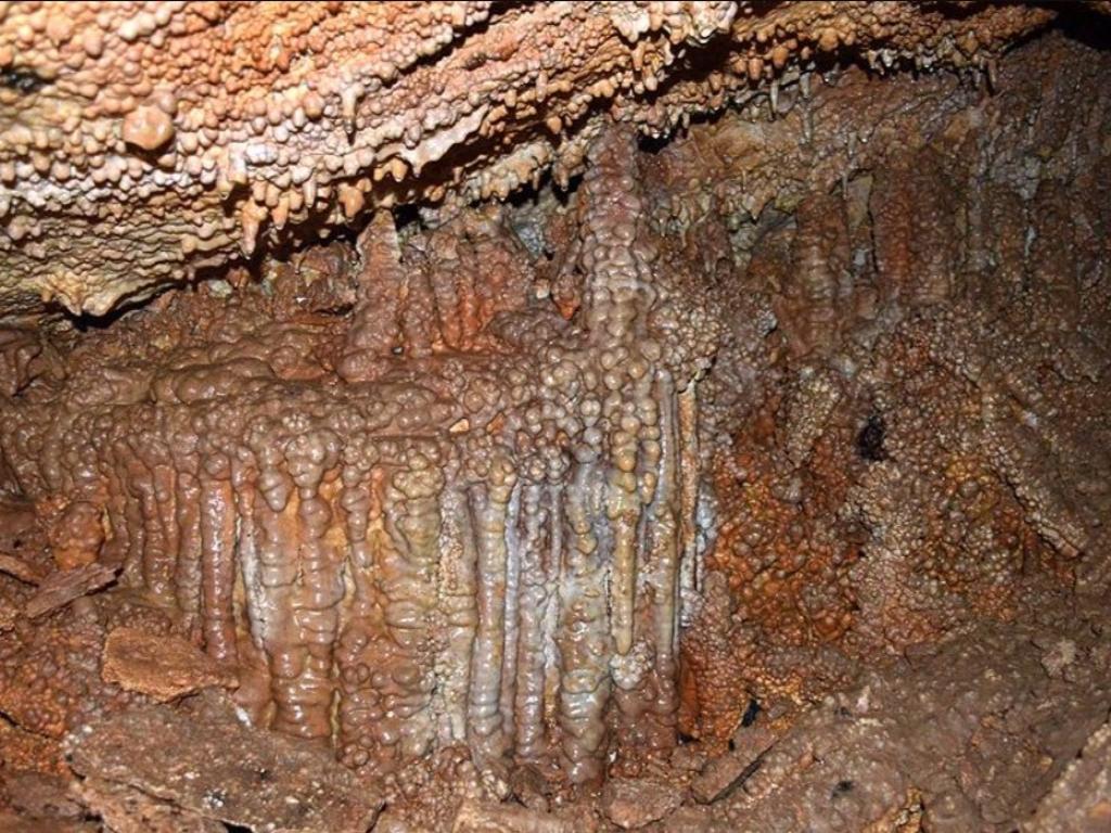 Музейная пещера (Новокаракольская) - фото 5