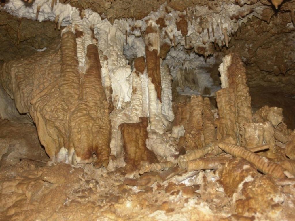 Музейная пещера (Новокаракольская) - фото 6