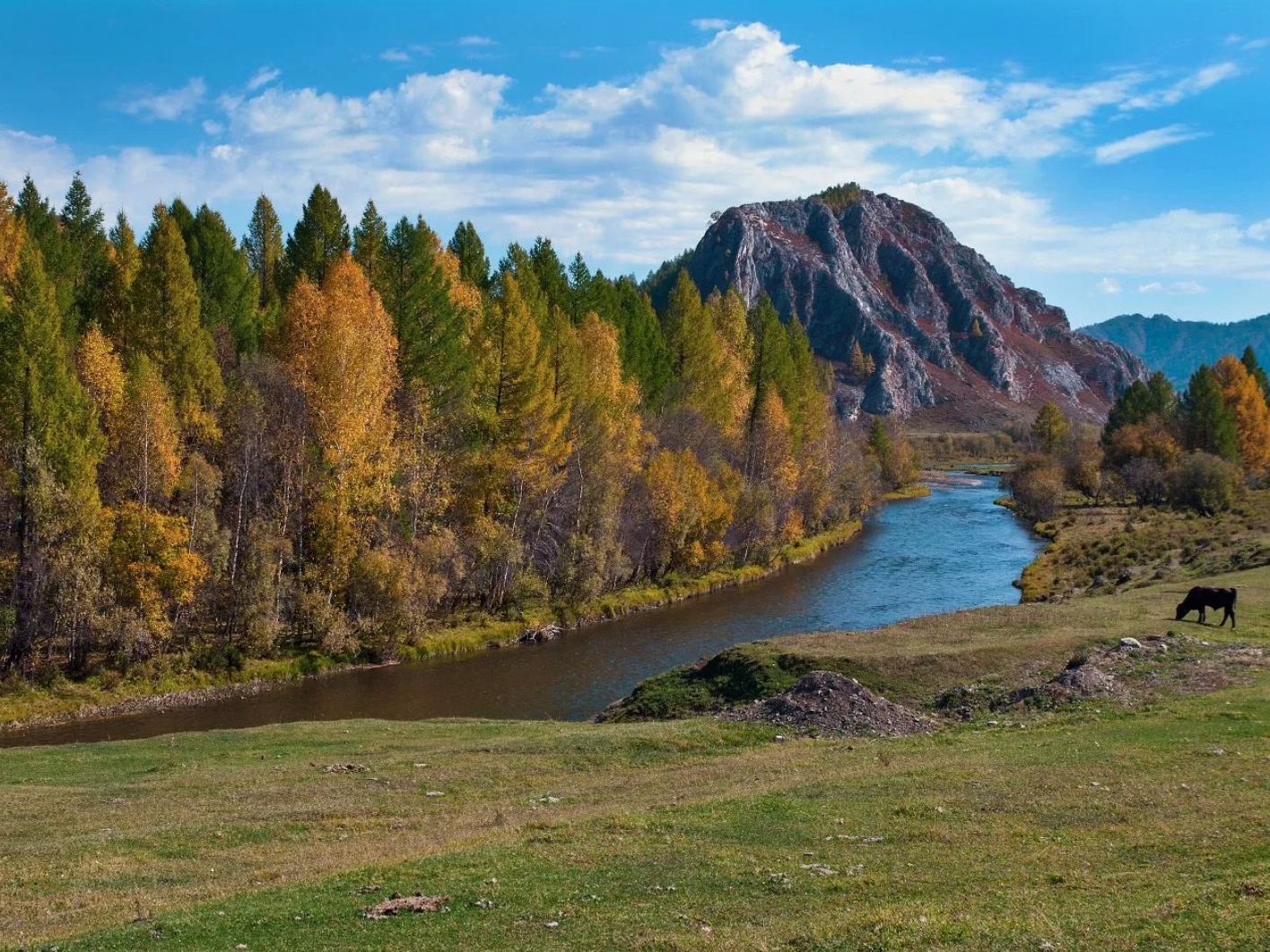 Река Чарыш - фото 1