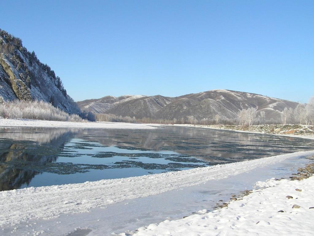 Река Чарыш - фото 2