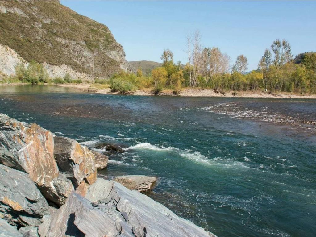 Река Чарыш - фото 3