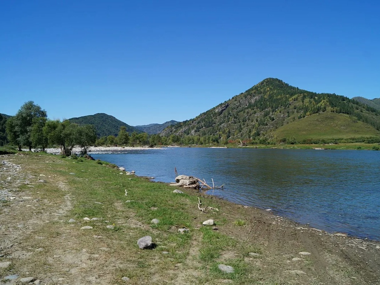 Река Чарыш - фото 4