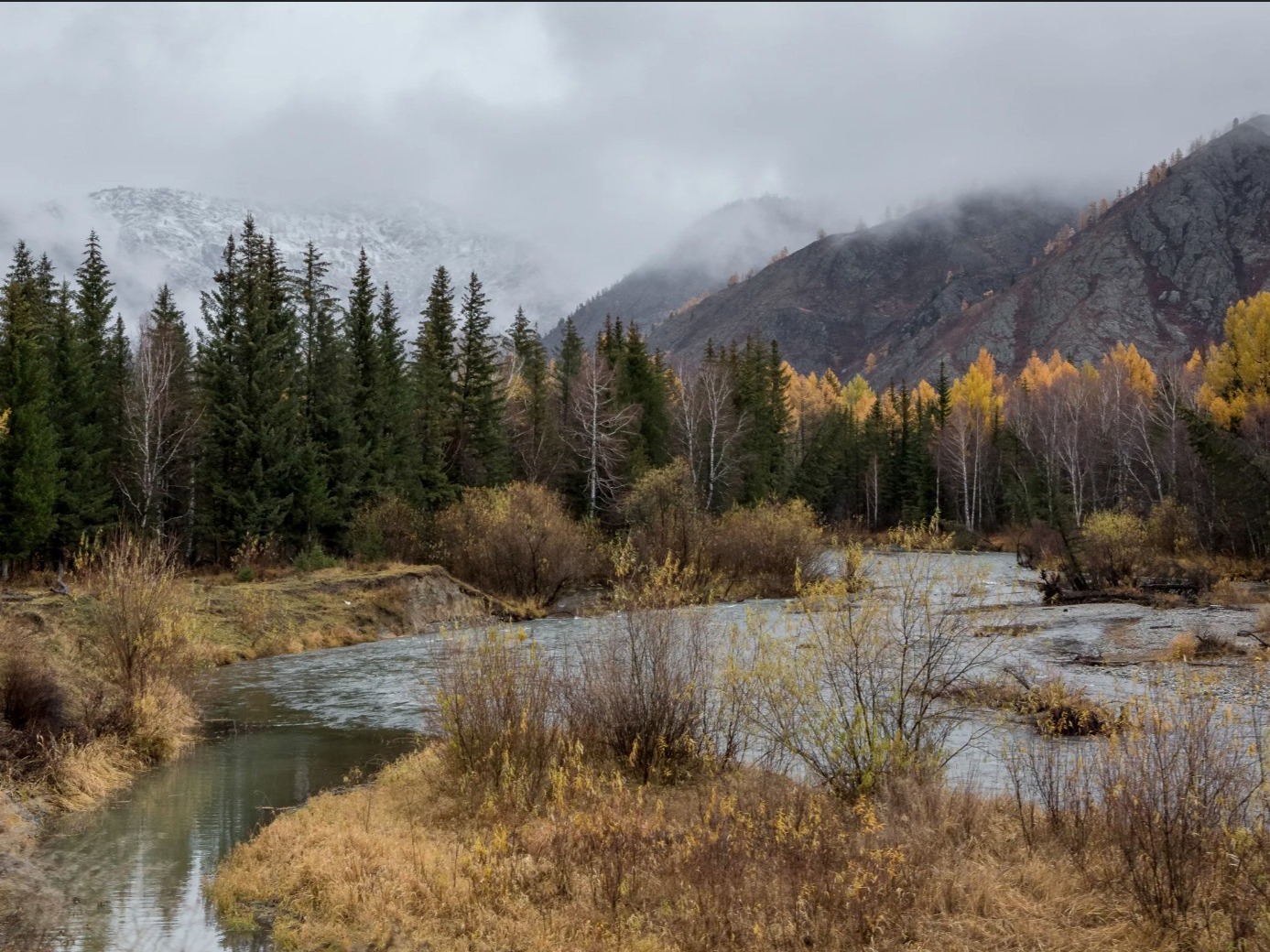 Река Чарыш - фото 5