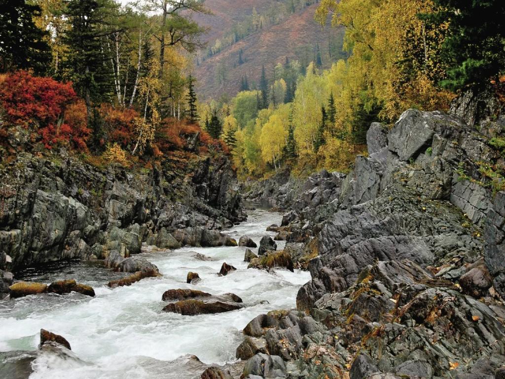 Река Чарыш - фото 6