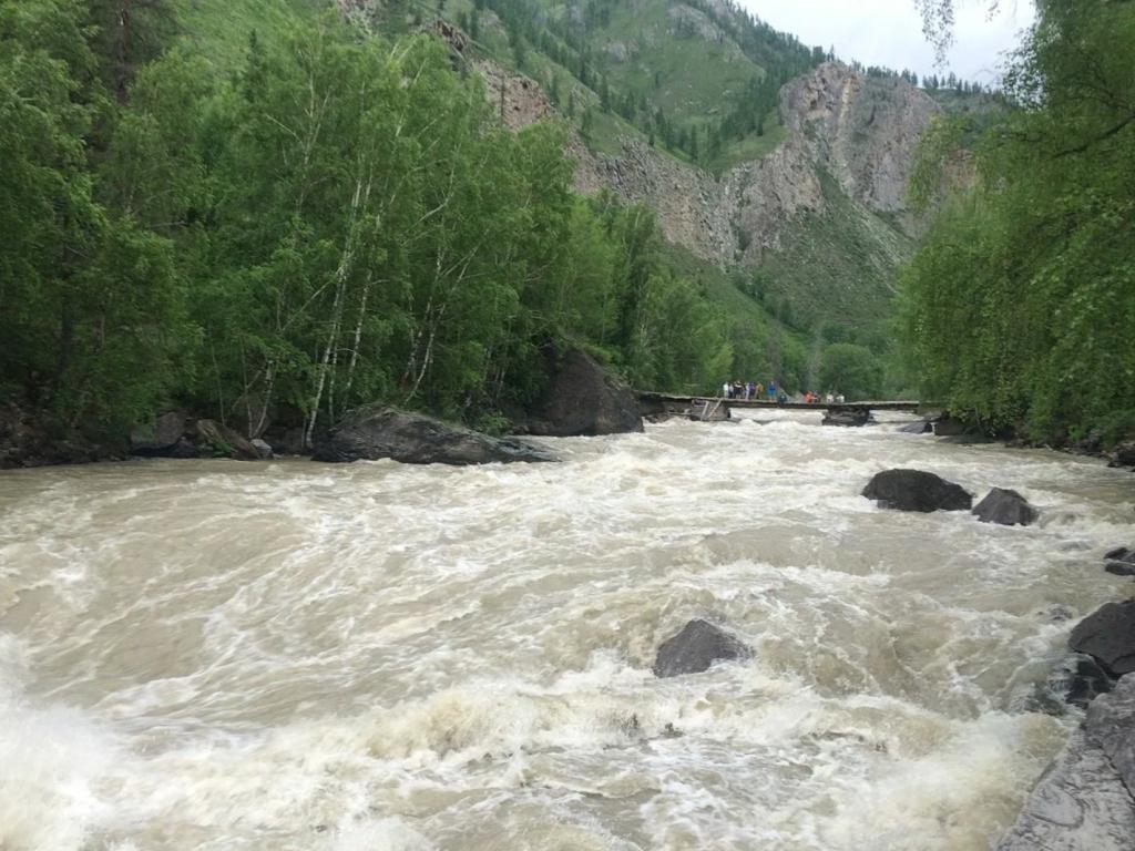 Река Чарыш - фото 7